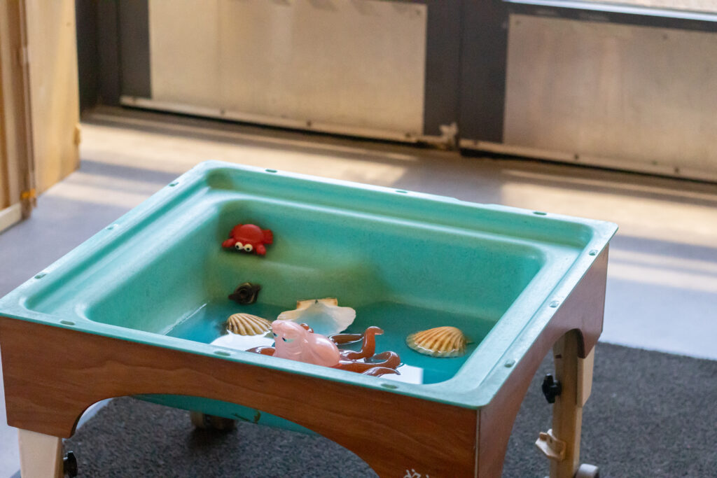 Table with built in water basin. There is a small amount of water in the basin and various objects, for example shells, toy sea creatures, to provide children with a sensory experience.